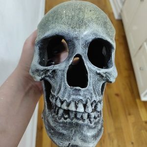 Skull Reptile hide